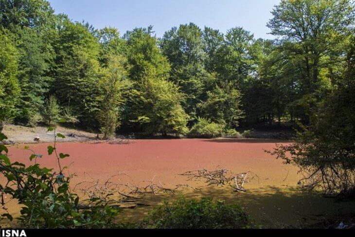 مرداب هسل چالوس